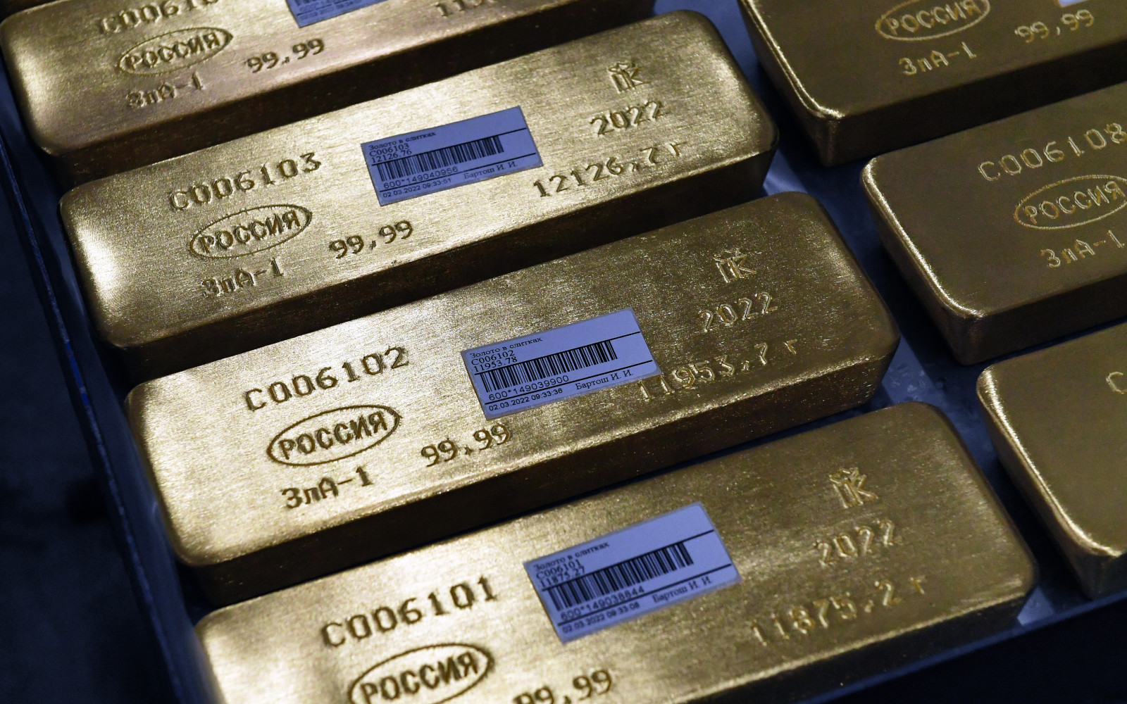 Фото: Илья Наймушин / РИА Новости