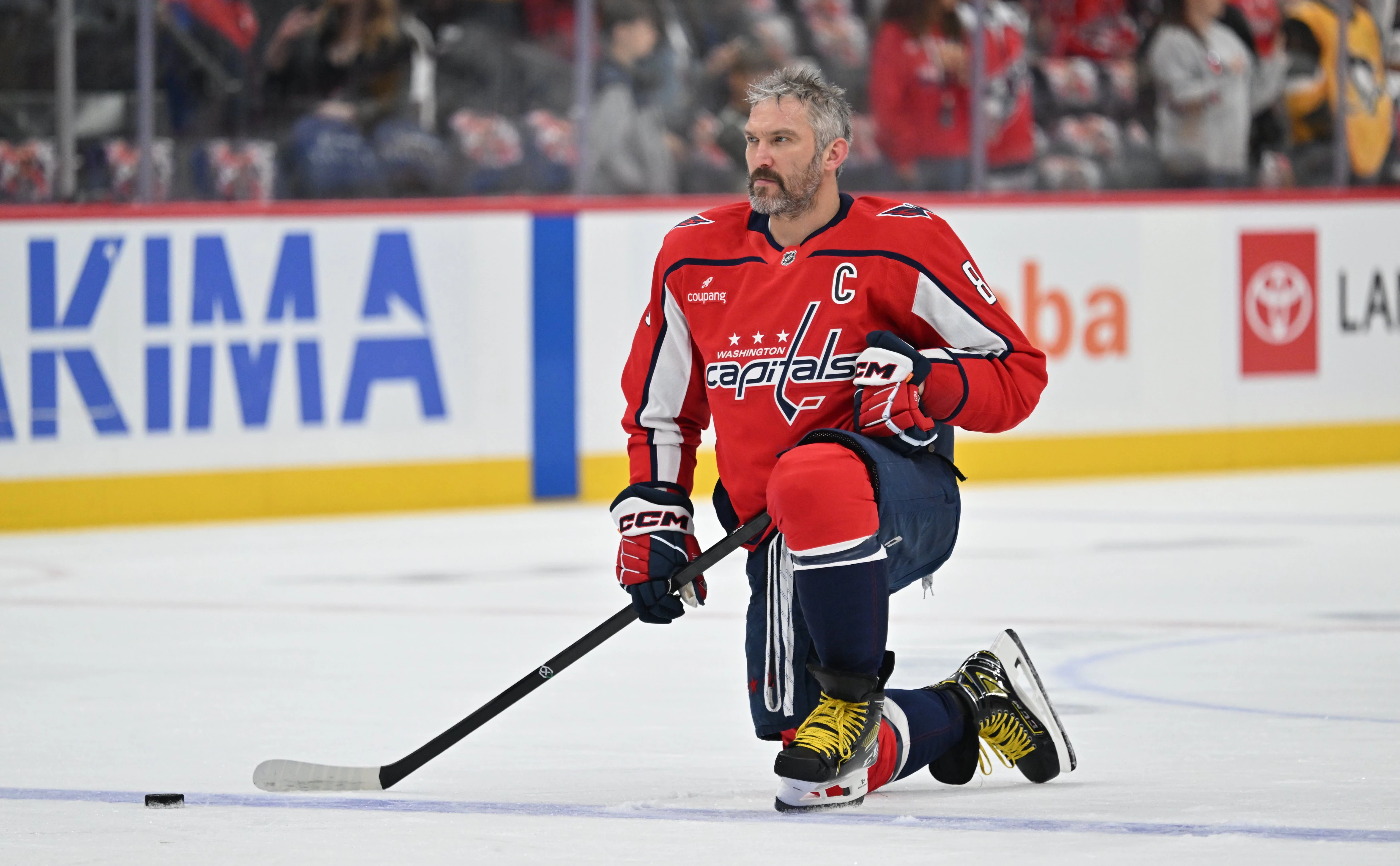 Jamie Sabau / Getty Images