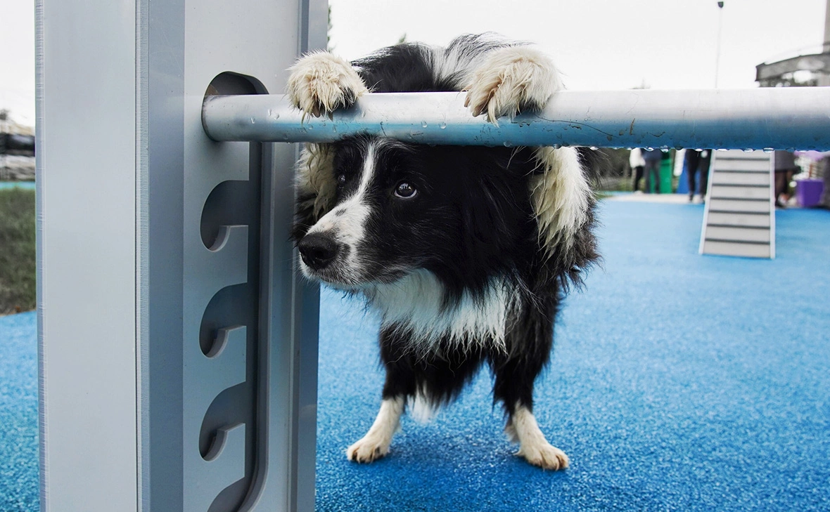 Александр Авилов / АГН «Москва»