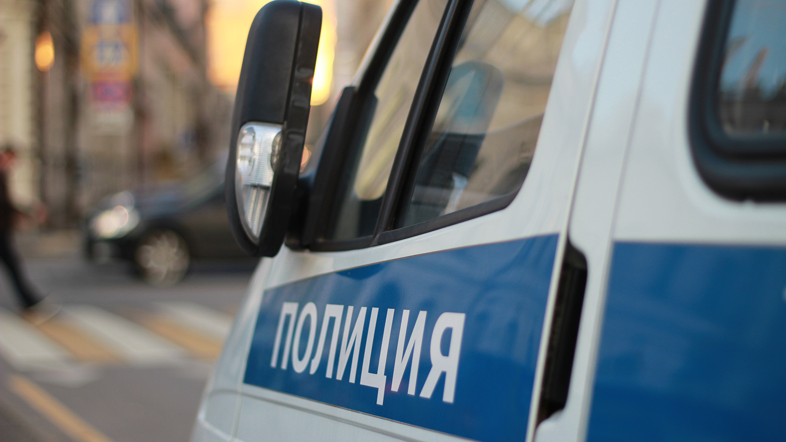В Подмосковье задержали подозреваемого в избиении собаки-инвалида