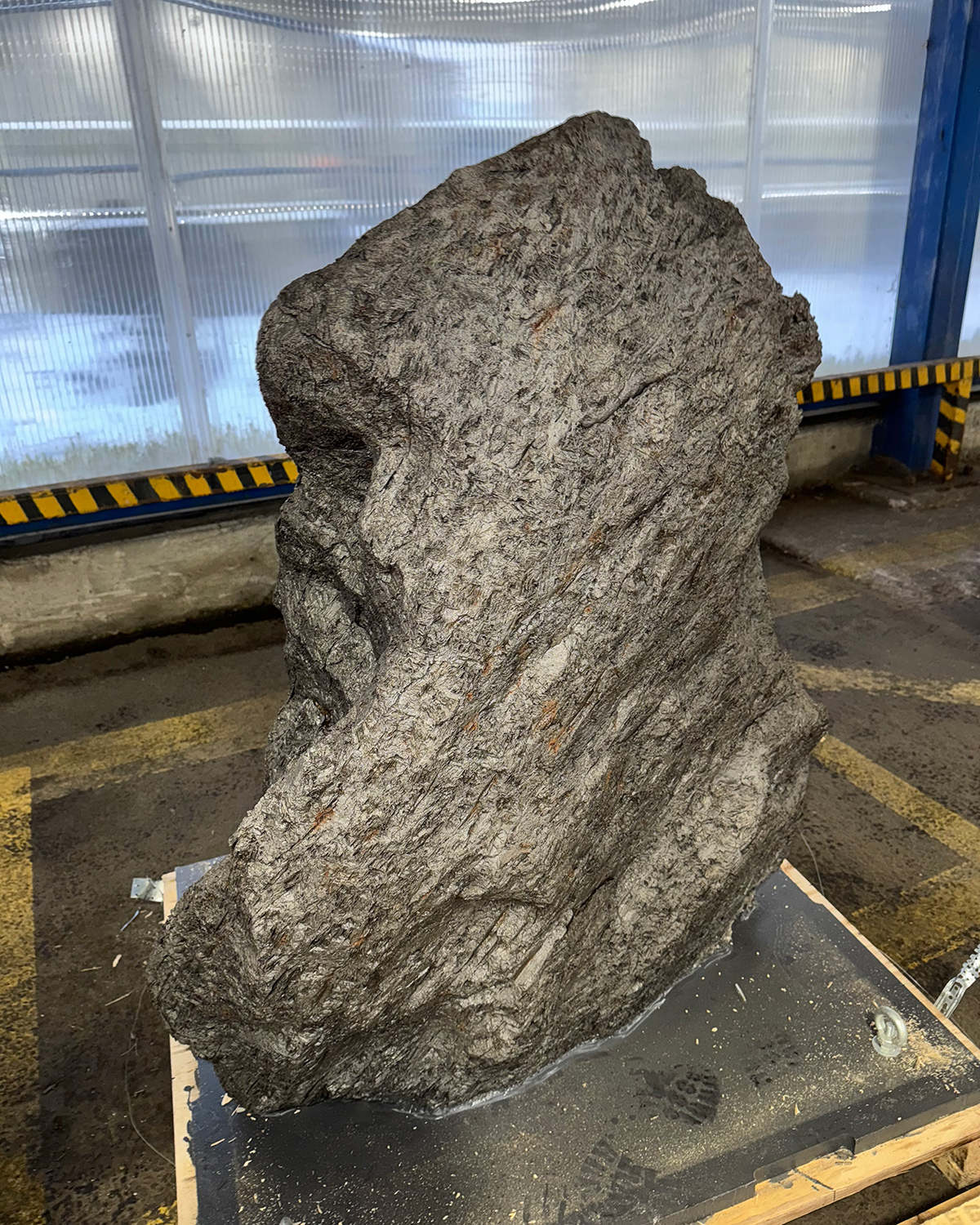 Фото: пресс-служба Балтийской таможни