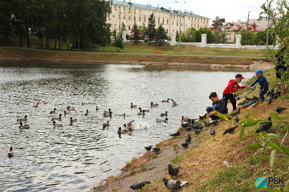 Казань за год потратила более 1 млрд рублей на парки и водоемы