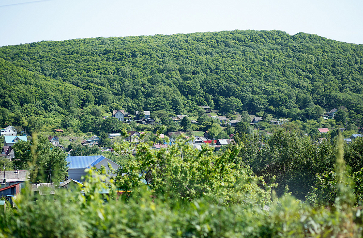 Правительство Приморского края
