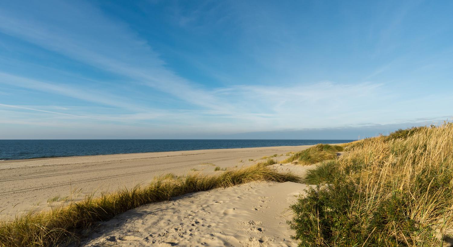 Песчаные дюны на берегу Балтийского моря в поселке Янтарный