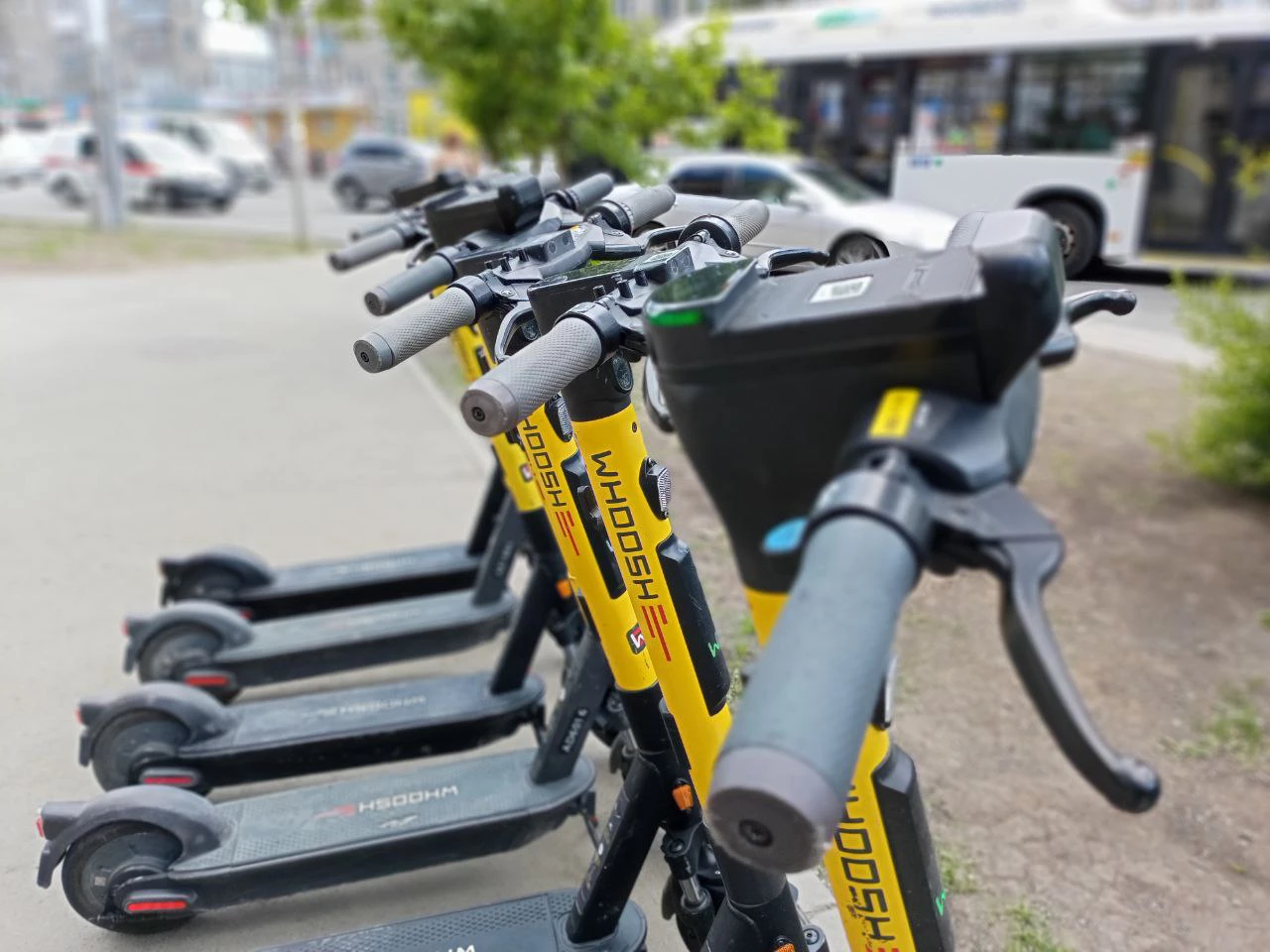 Алексей Коваленок / РБК Новосибирск