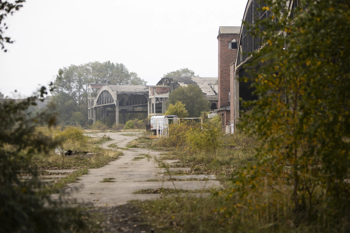 Александр Подгорчук 