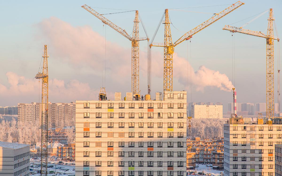 Фото: Evgeniia Primavera / Shutterstock / FOTODOM