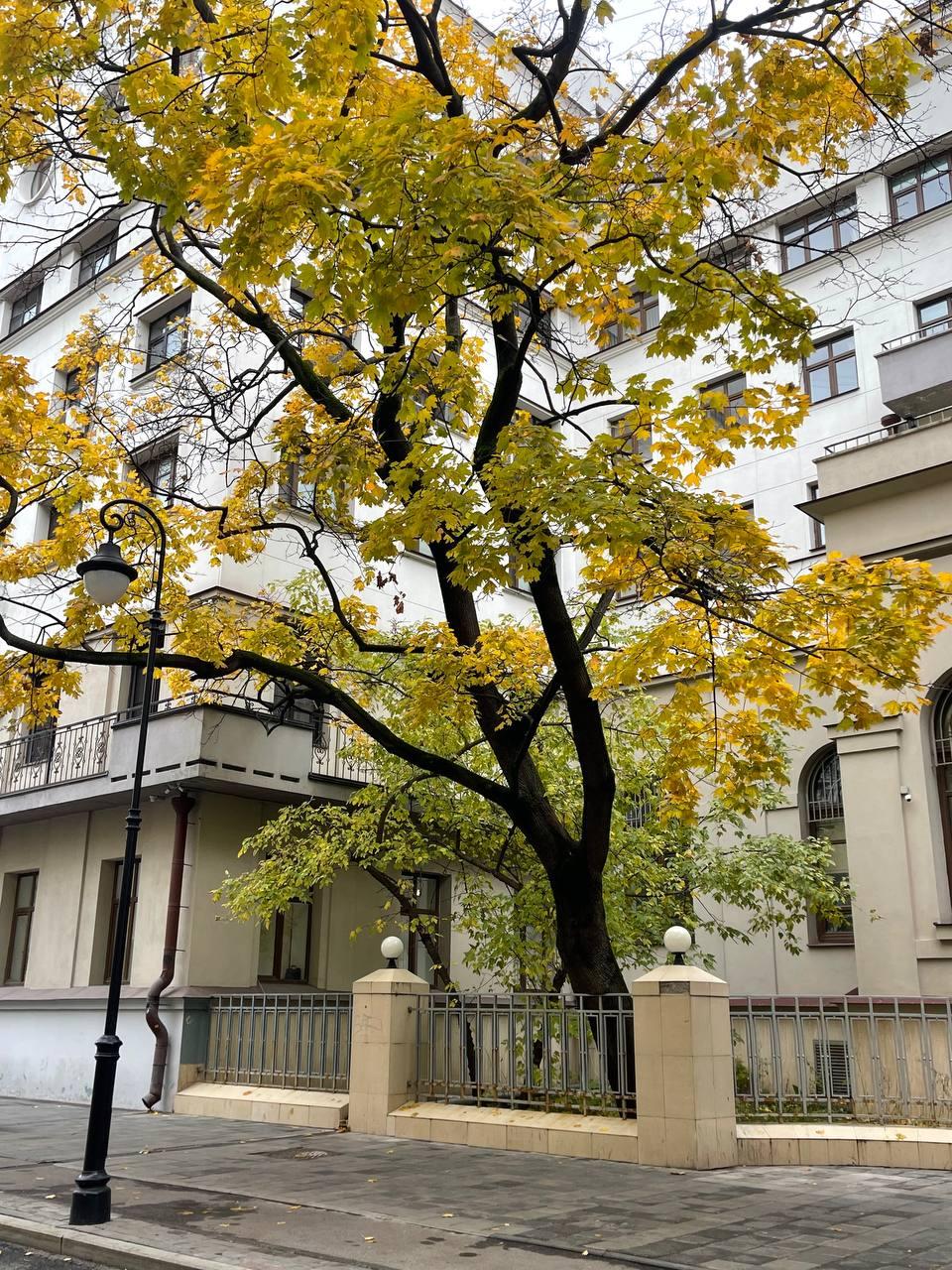 Ермолаевский переулок, 9