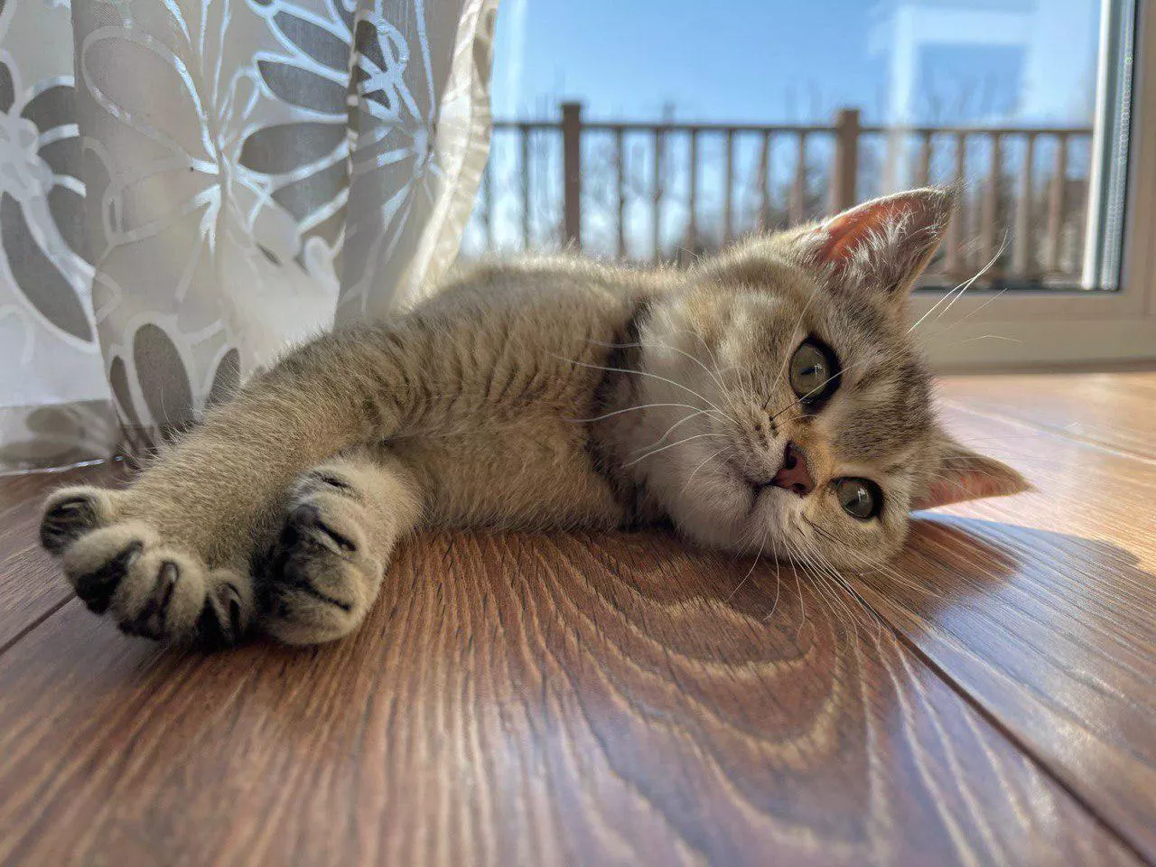 РБК Приморье