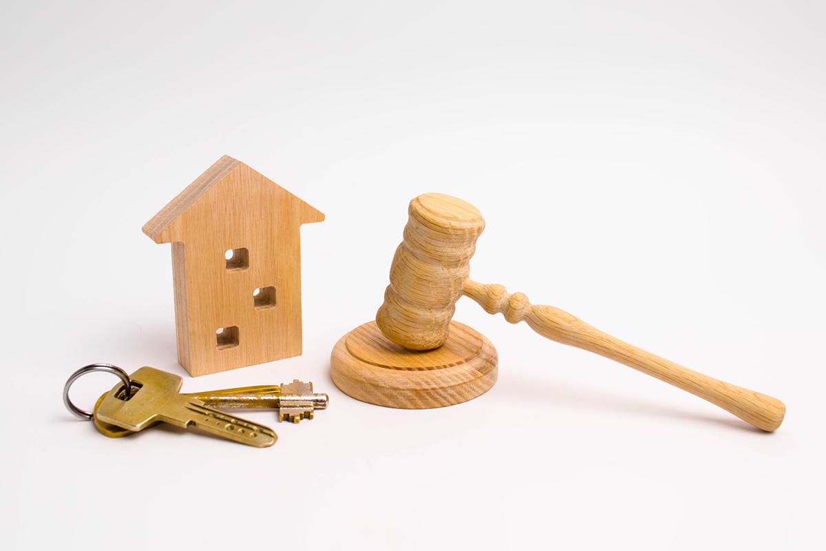 Фото: Andrii Yalanskyi / Shutterstock / FOTODOM