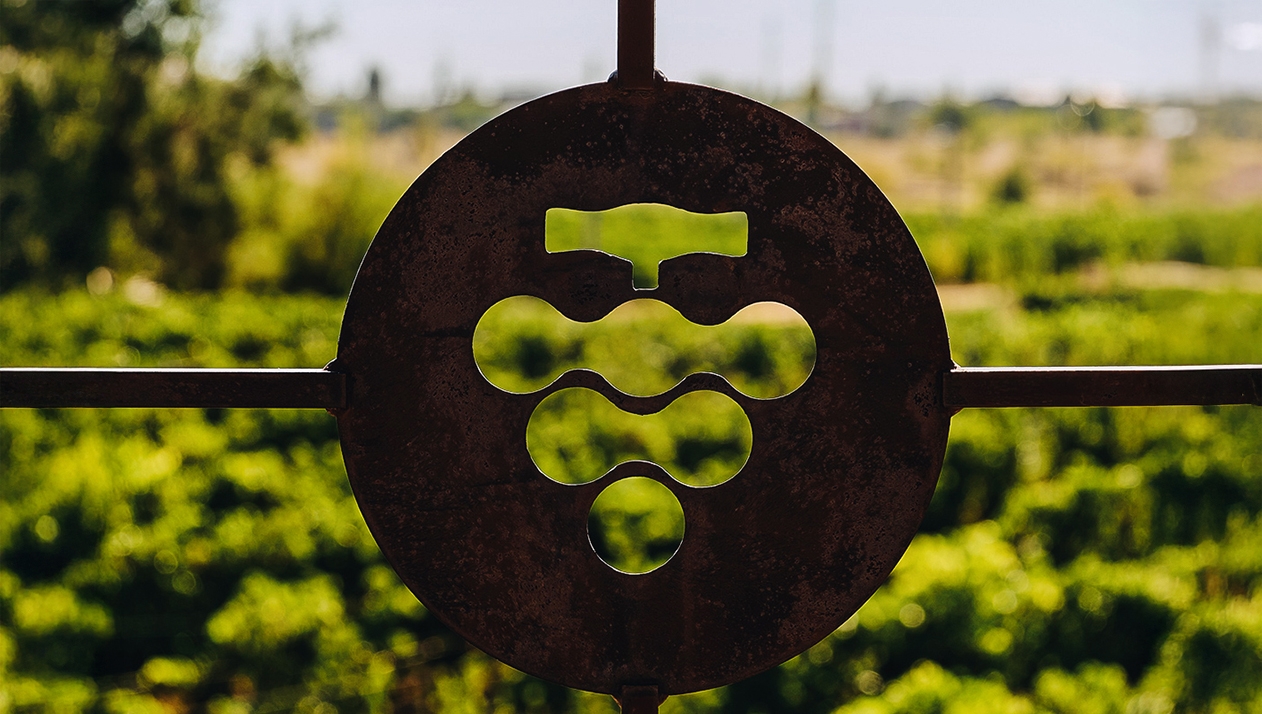 Как в Поволжье появилась винодельческая династия Гусевых