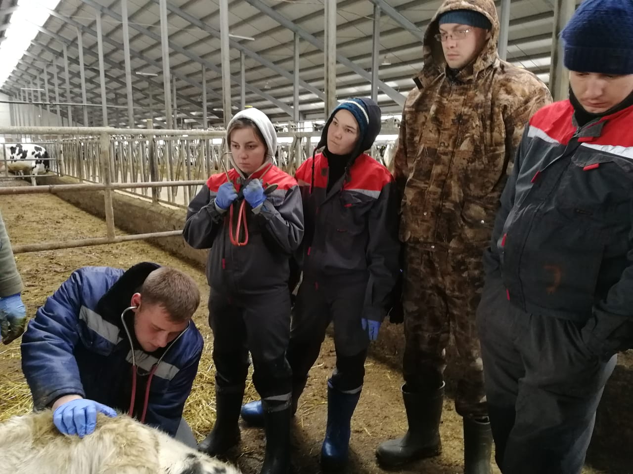 Студенты Новосибирского агроуниверситета на практике в &laquo;Сибирской ниве&raquo;