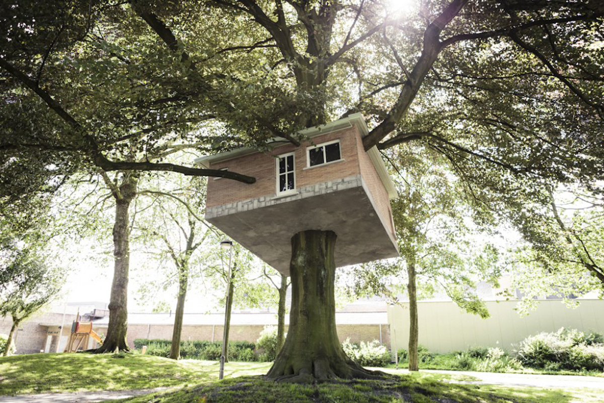 Самый большой в мире дом на дереве: это надо видеть