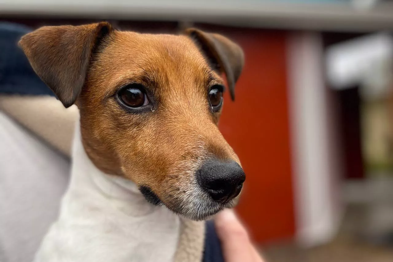 РБК Приморье