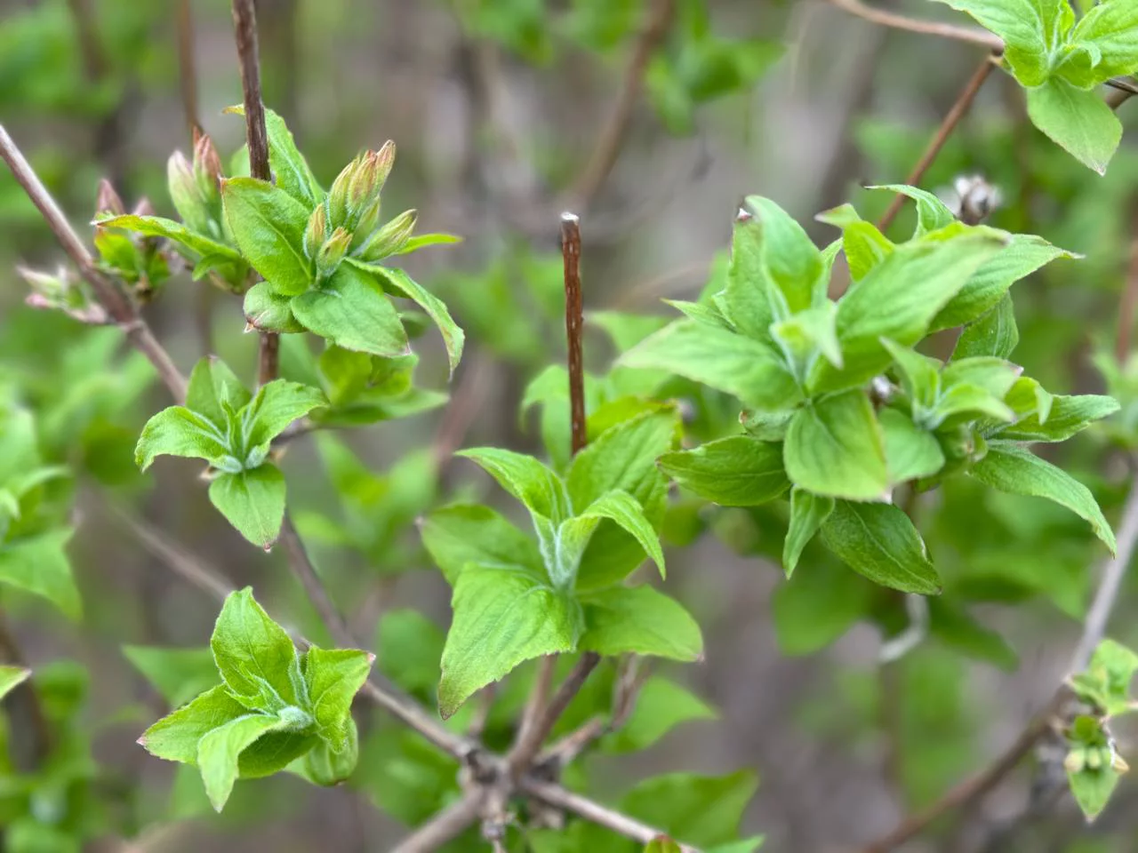 РБК Приморье