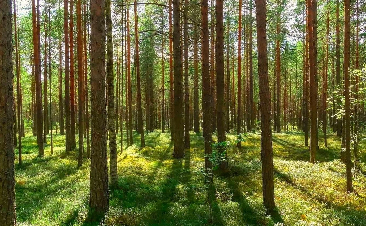 Республика Карелия /vk.com