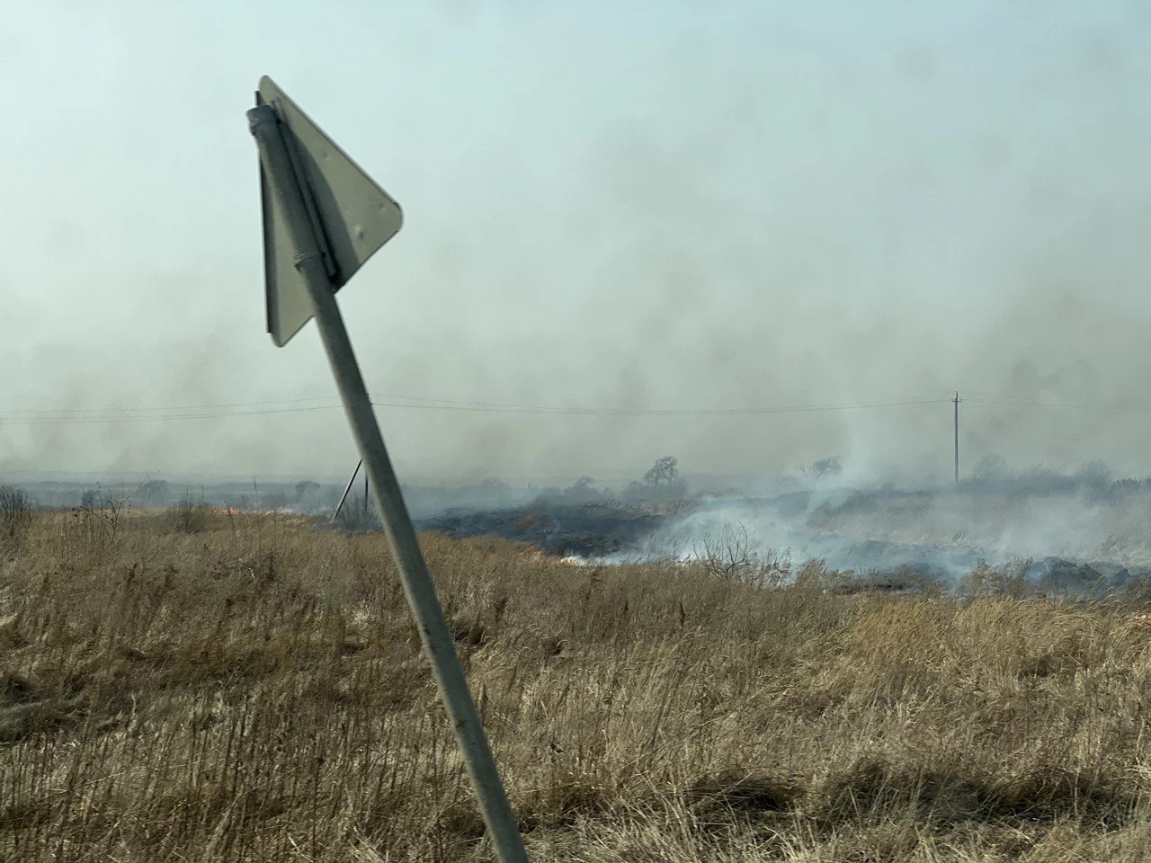 РБК Приморье