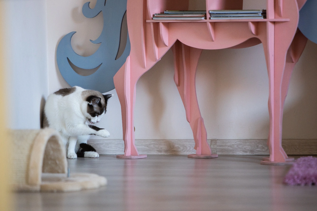 Александр Подгорчук