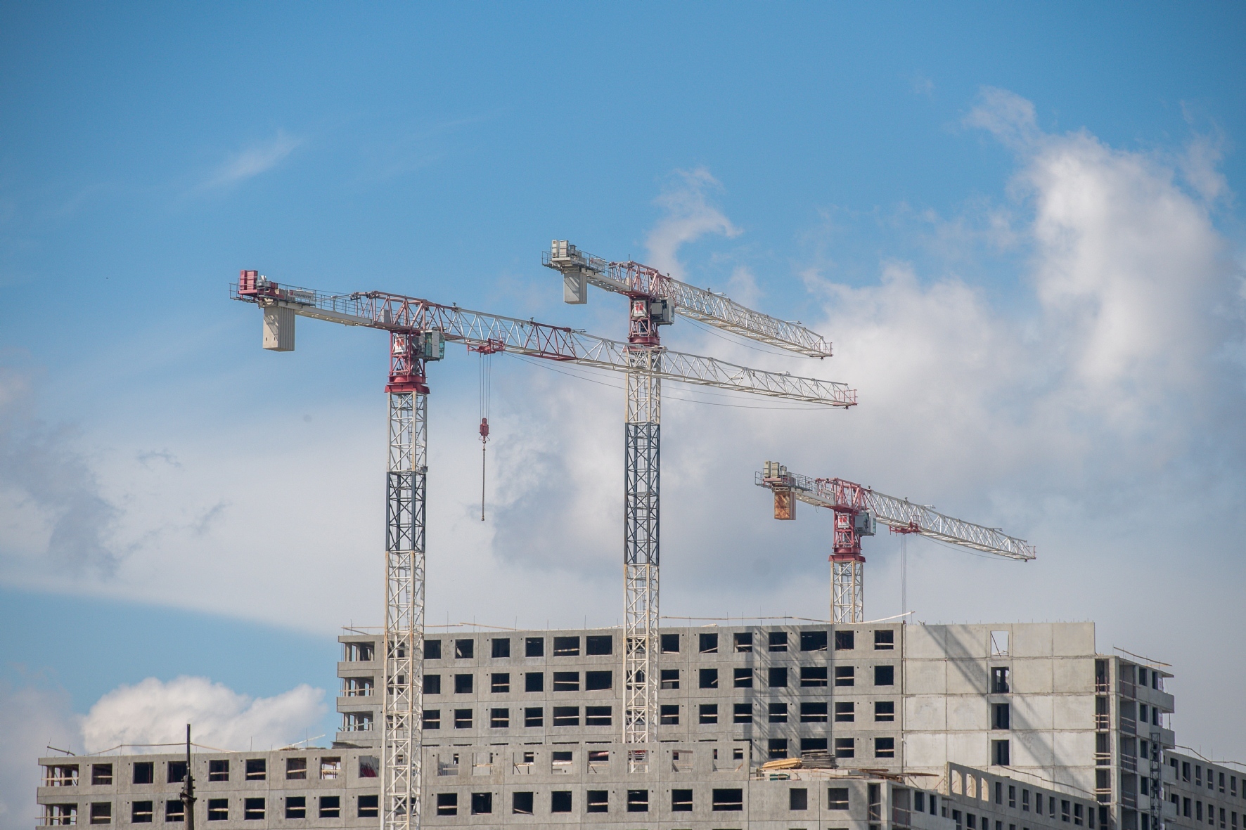 Фото: PhotoXPress.ru