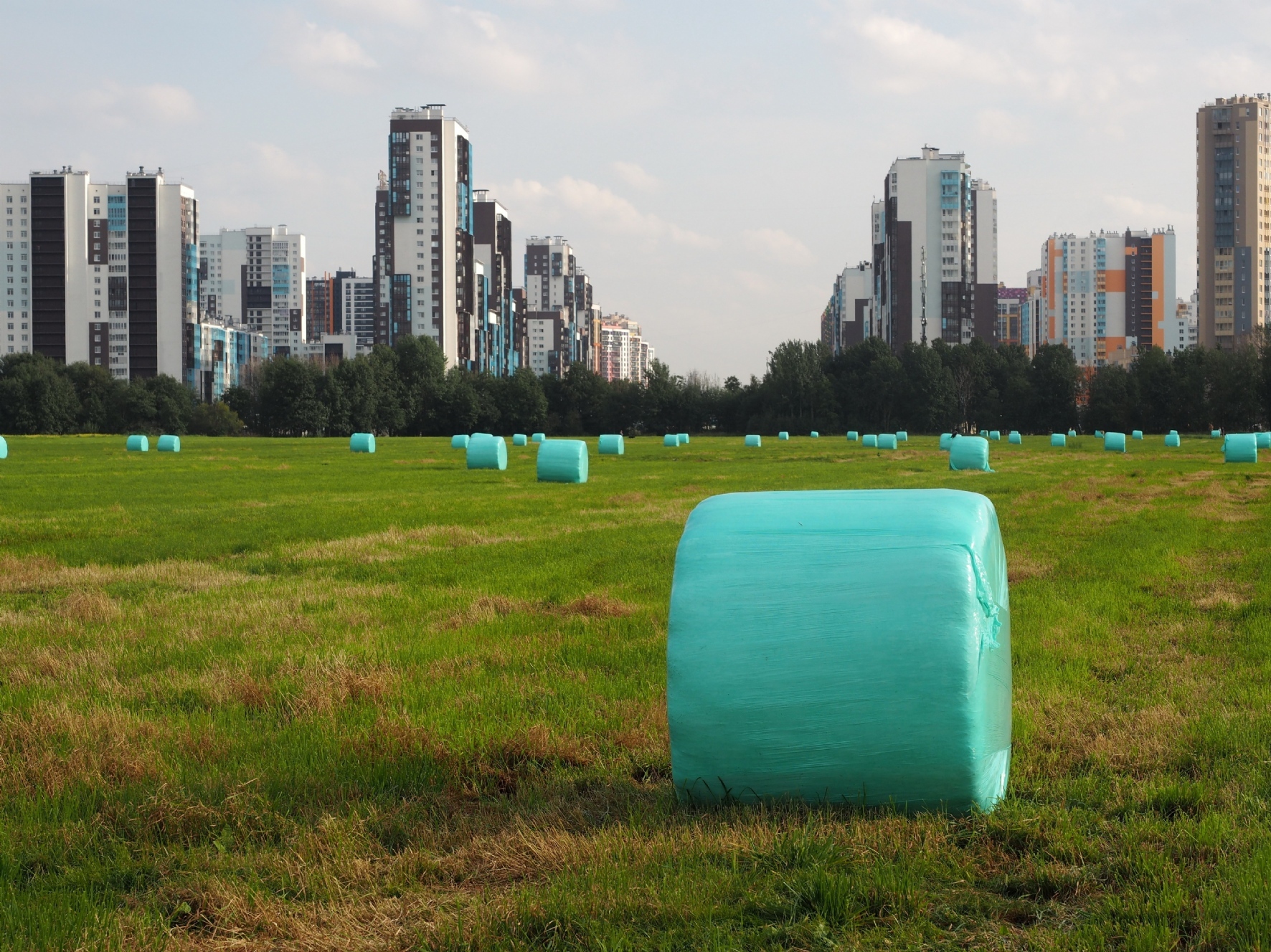 Фото: Чиженок Александр / PhotoXPress.ru