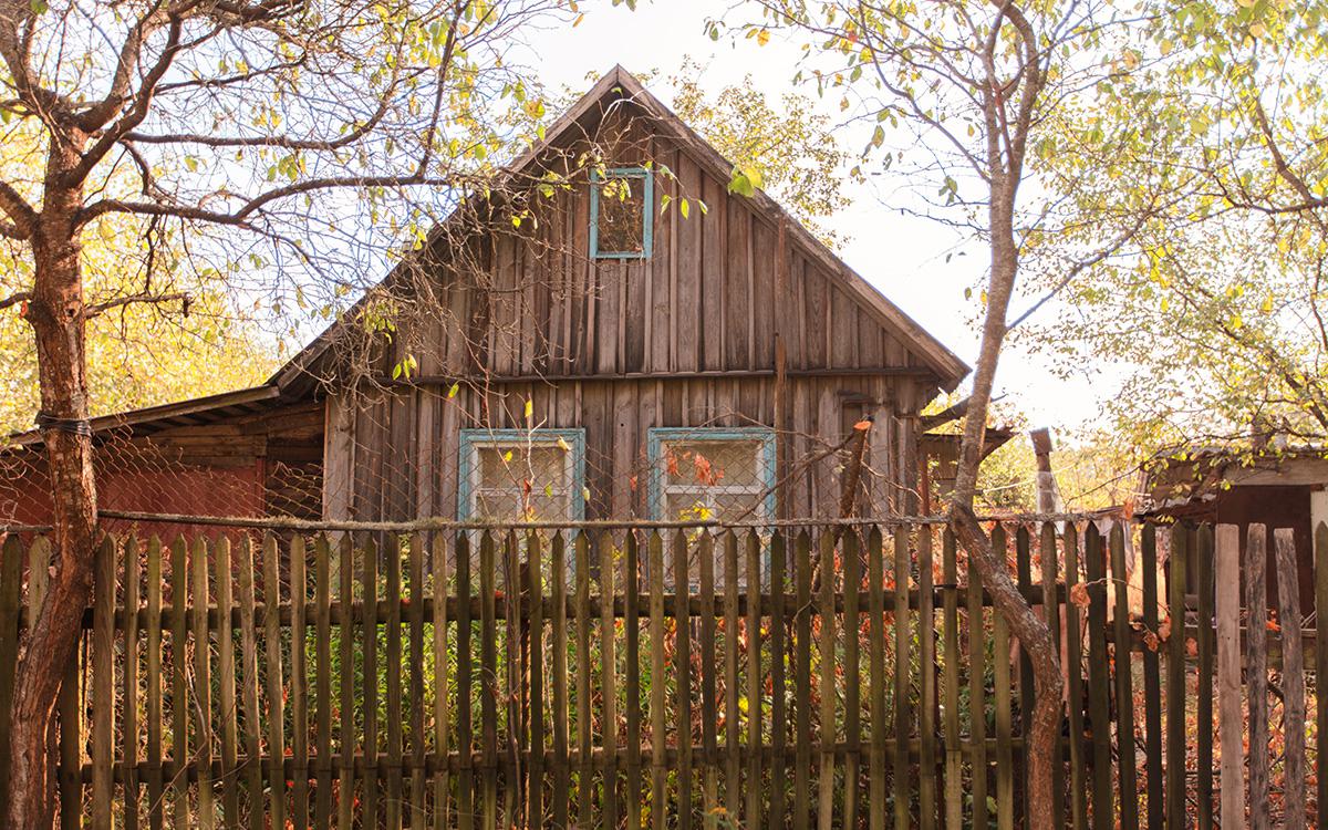 Фото: SviatlanaLaza / Shutterstock / FOTODOM