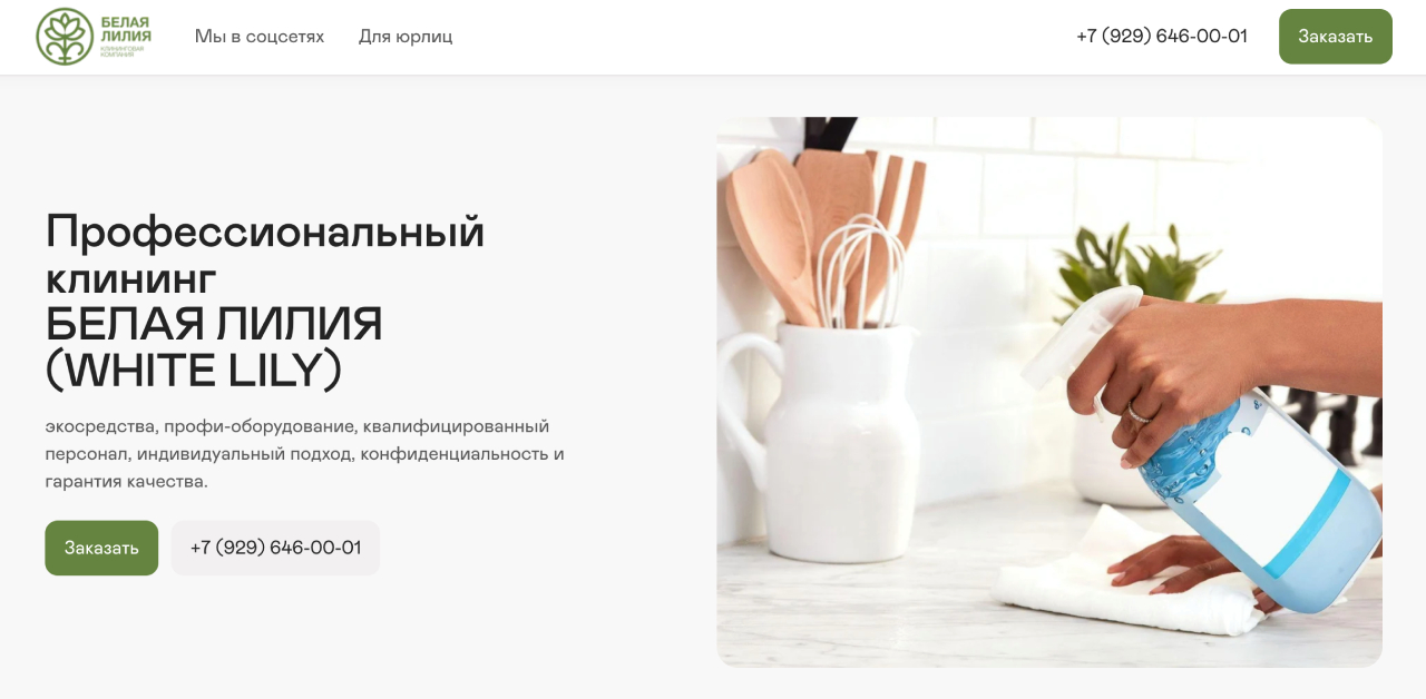 Пример сайта на конструкторе «Рег.ру»