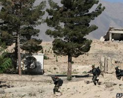Кабул опроверг сообщение талибов о казни граждан Германии