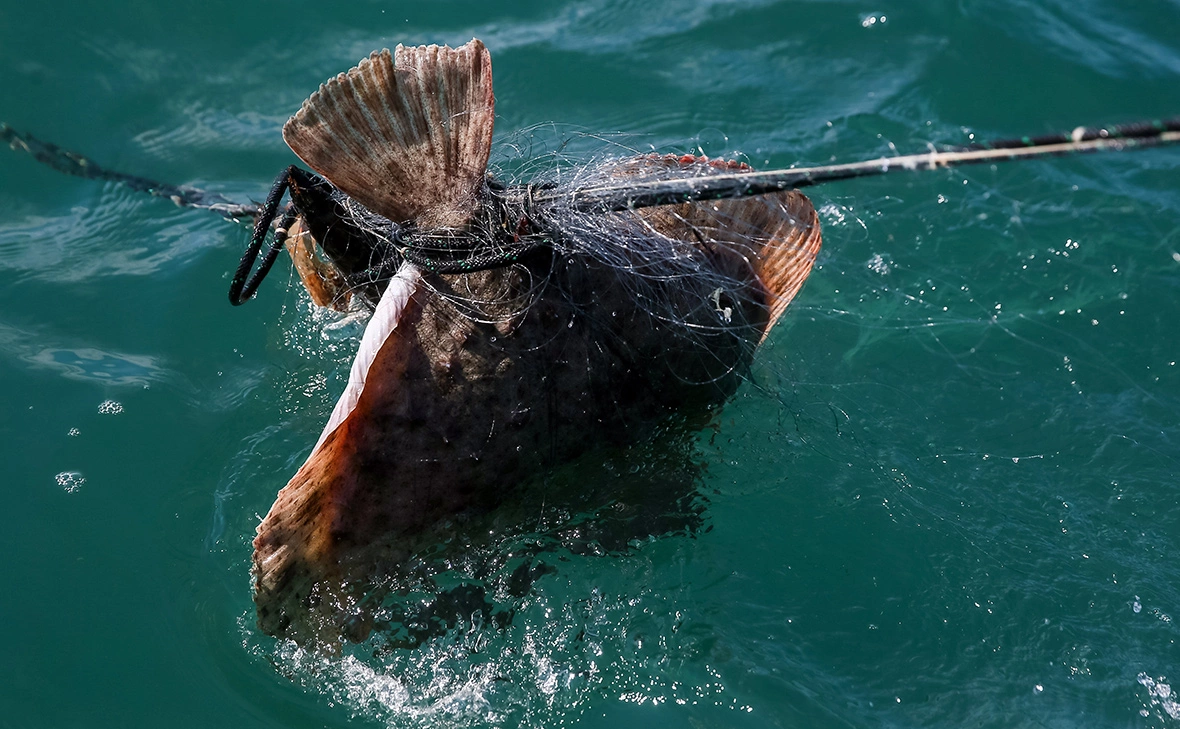 Дмитрий Феоктистов / ТАСС
