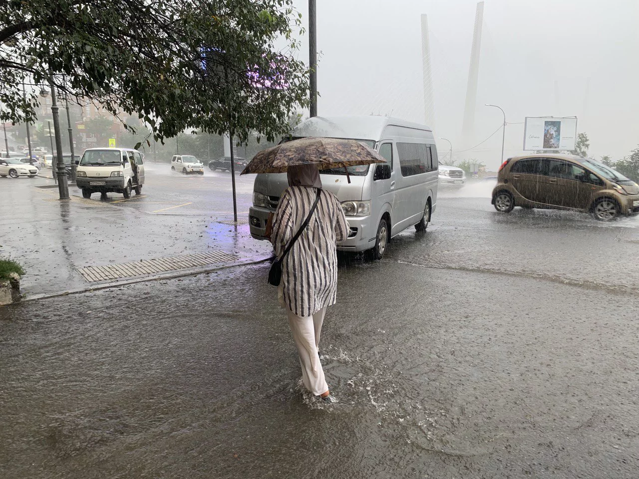 РБК Приморье