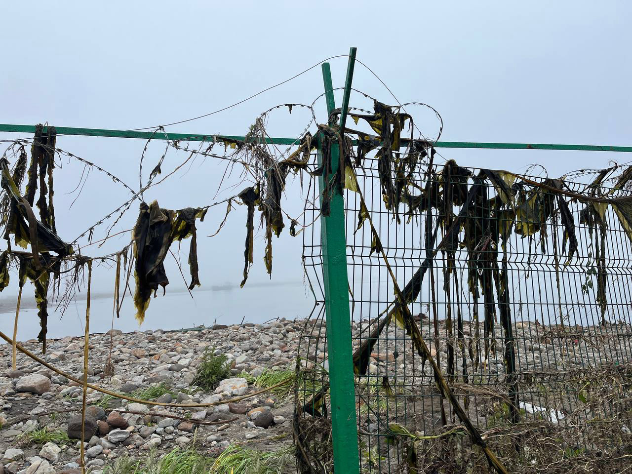 Порт Северо-Курильска после землетрясения и цунами