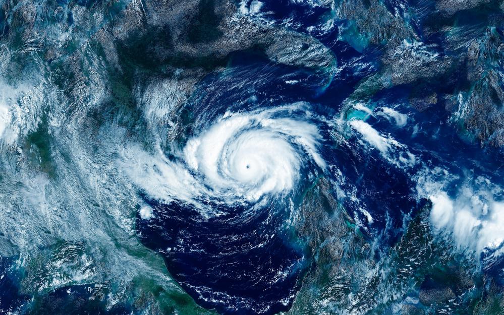 Фото: Shutterstock