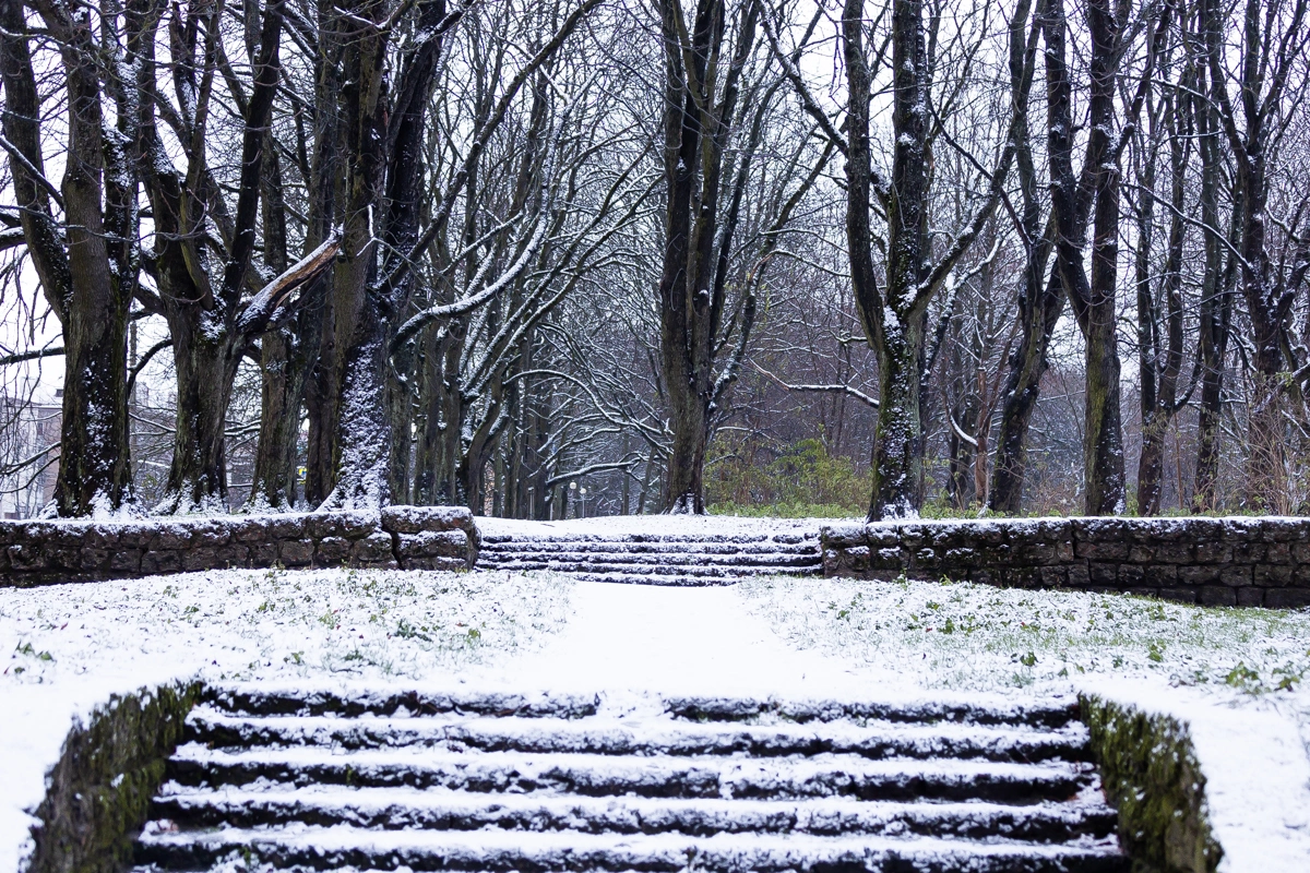 Александр Подгорчук