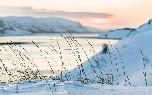 Фото: Министерство туризма и предпринимательства Мурманской области/ vk.com