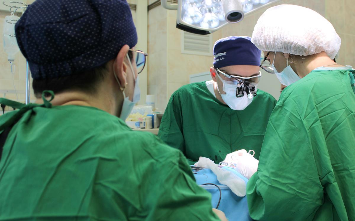 Фото: пресс-служба Комплекса социального развития Москвы