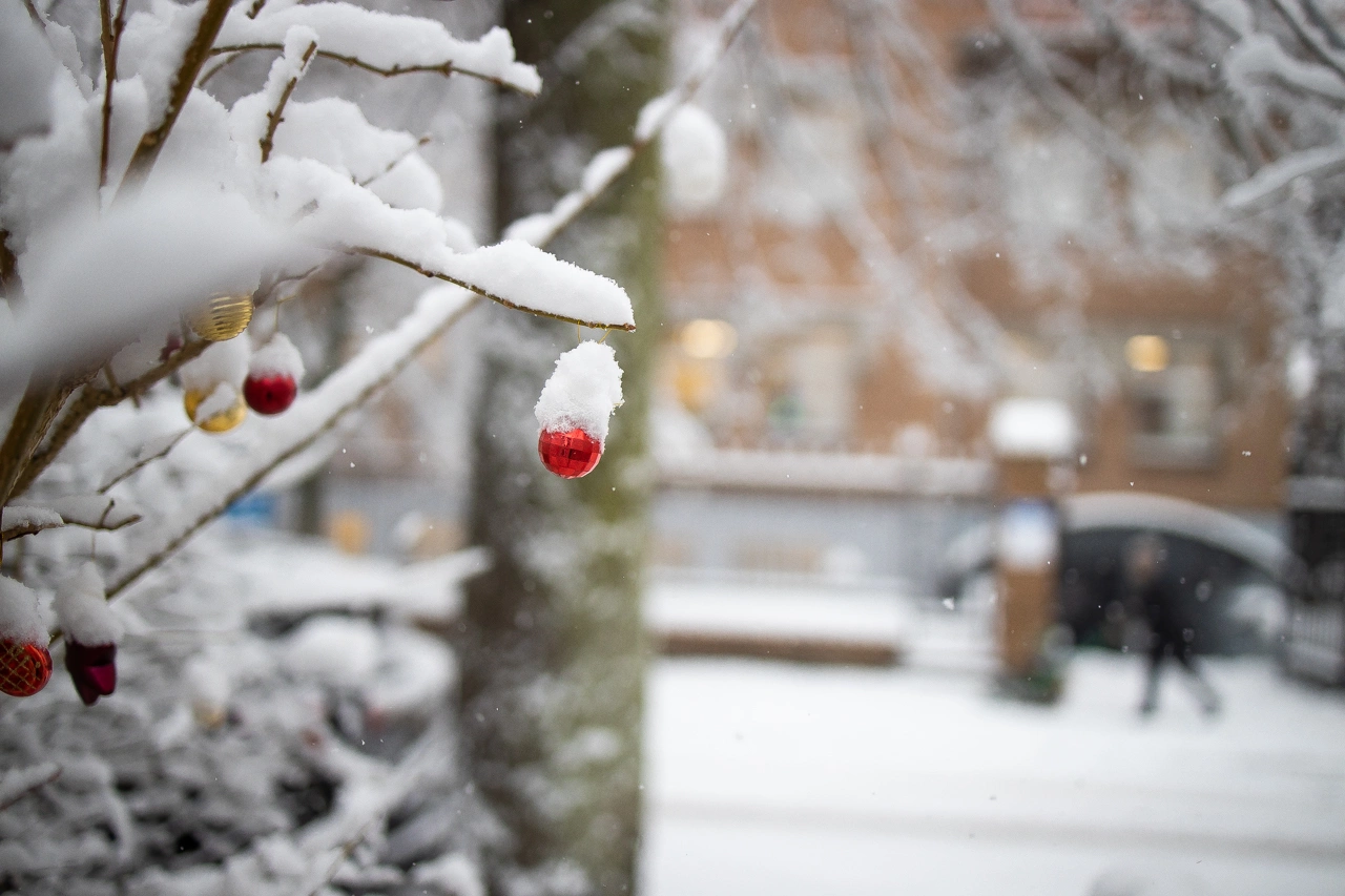 Александр Подгорчук