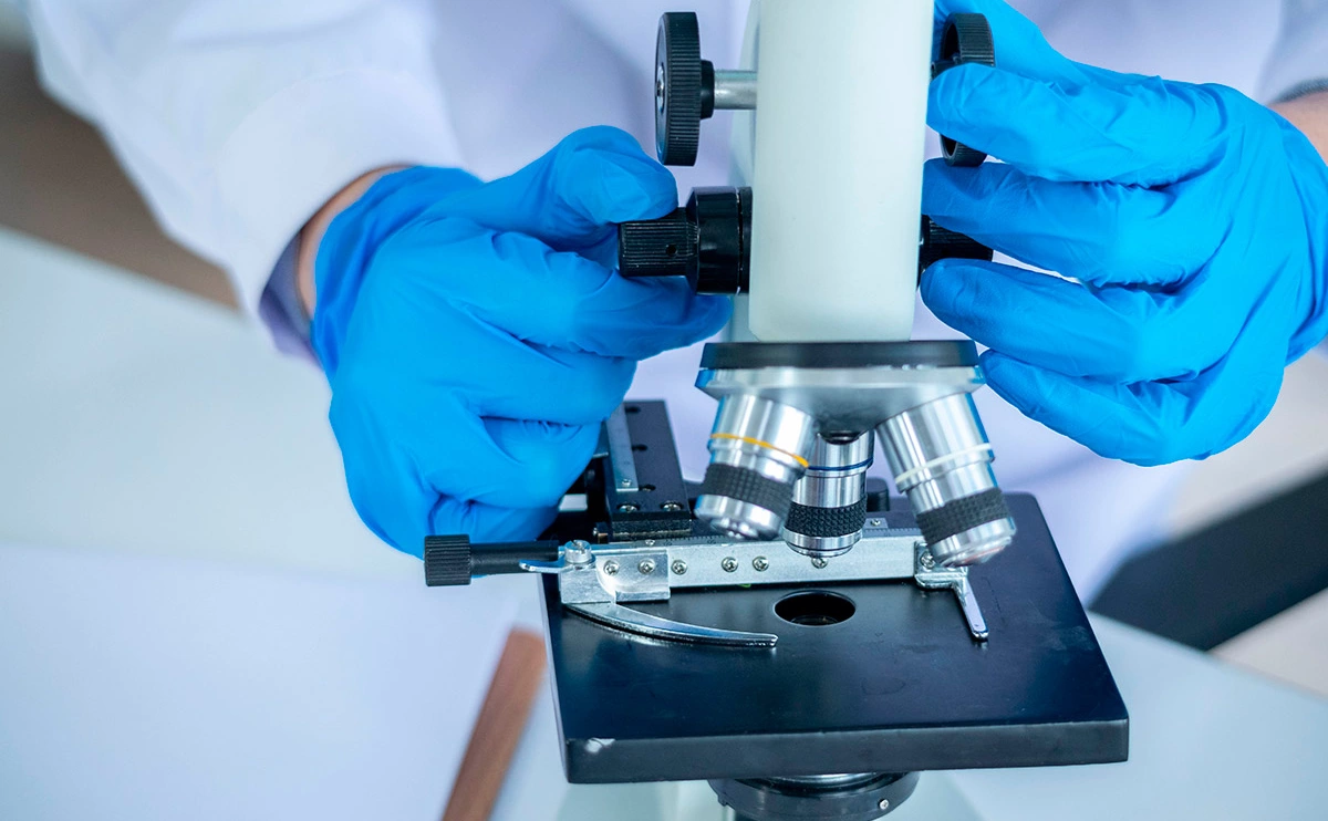 k-mookpan / Shutterstock