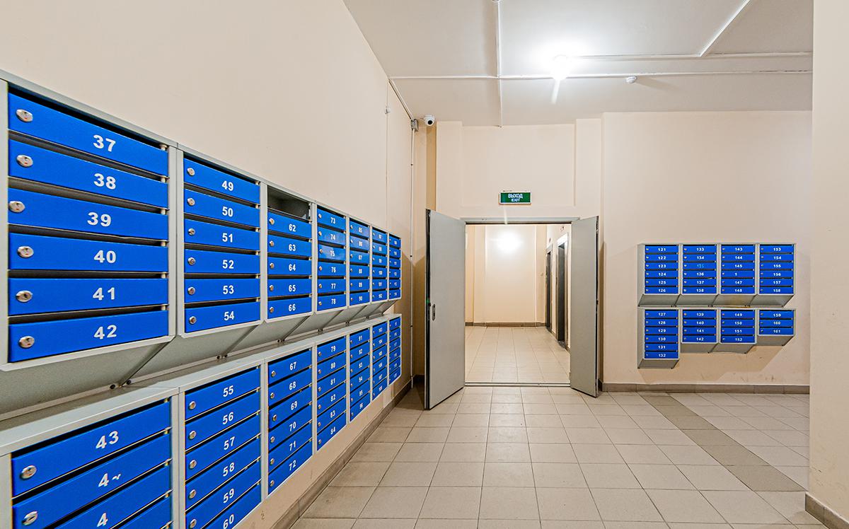 Фото: evgeniykleymenov / Shutterstock / FOTODOM