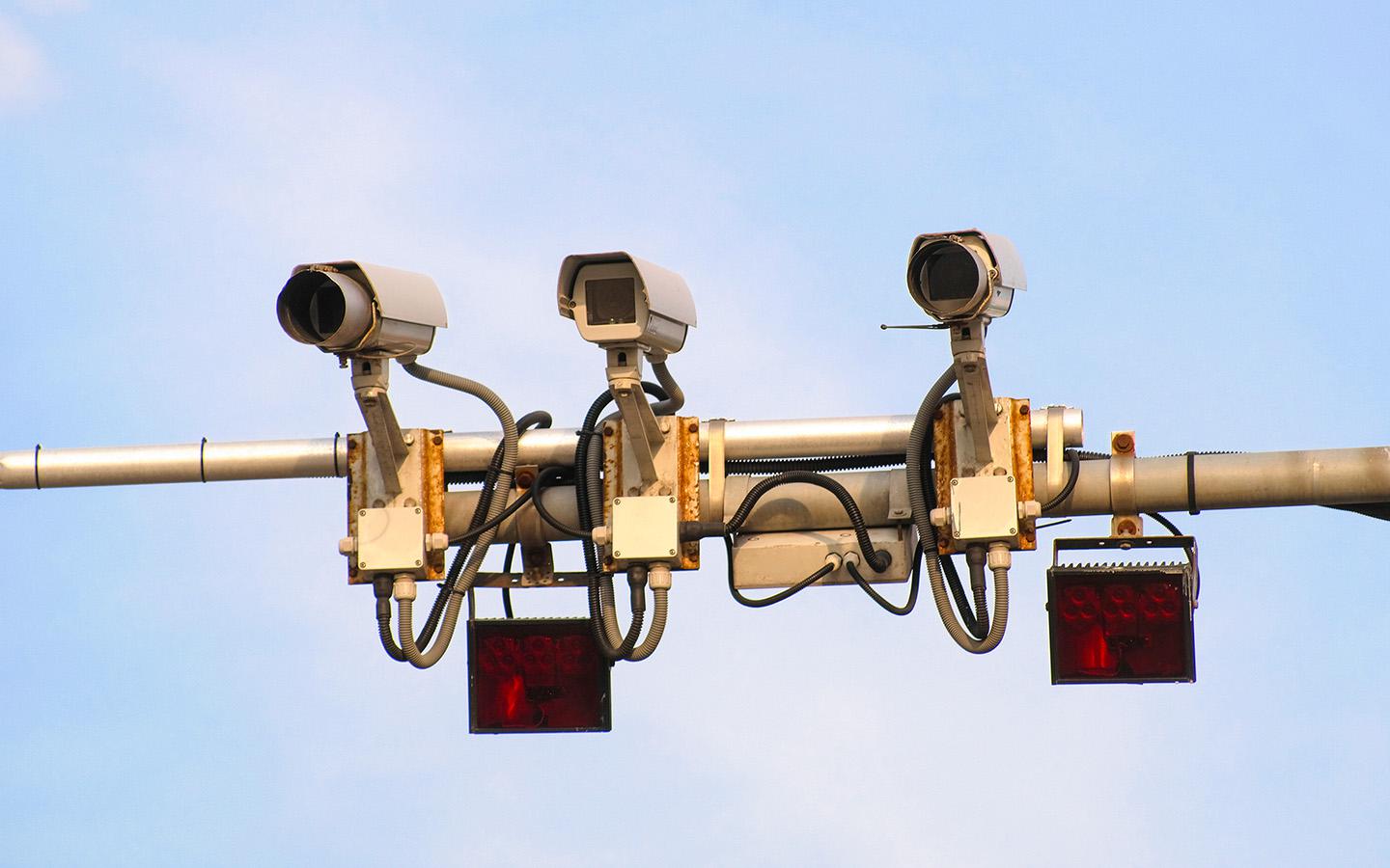 Фото: Vereshchagin Dmitry / Shutterstock / FOTODOM