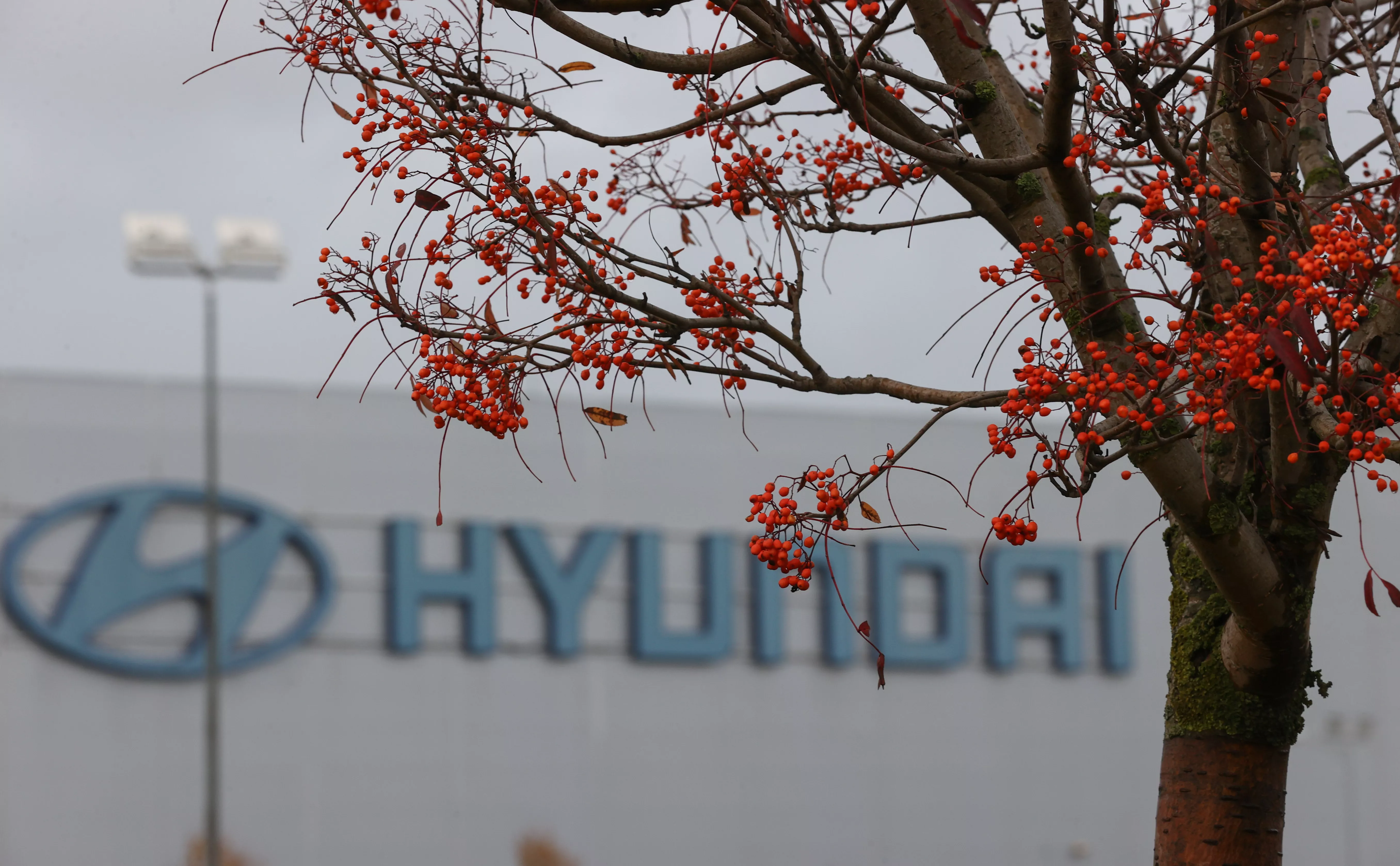 Александр Демьянчук / ТАСС