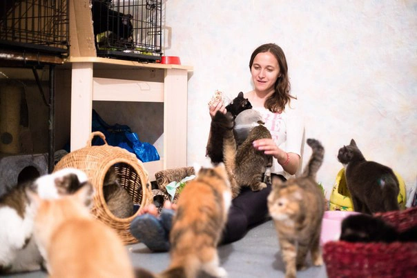 группа приют «Матроскин» в ВК