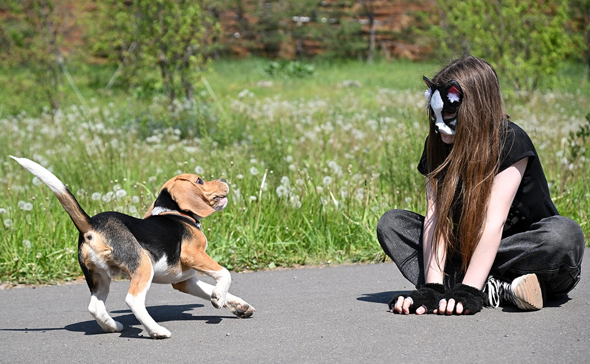 Максим Богодвид / РИА Новости