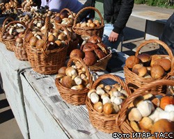 Власти предостерегают москвичей от покупки грибов 