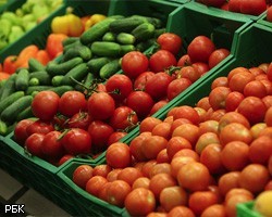 Европейские овощи вернутся на российские прилавки с 9 августа