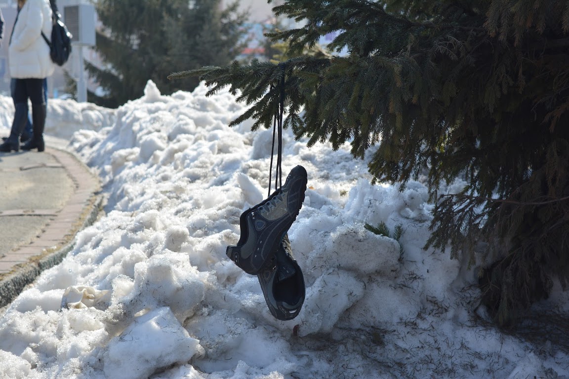 Фото: Максим Табунов РБК Новосибирск