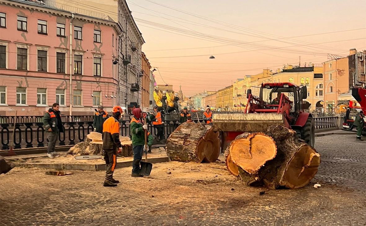Деревья Петербурга / VK