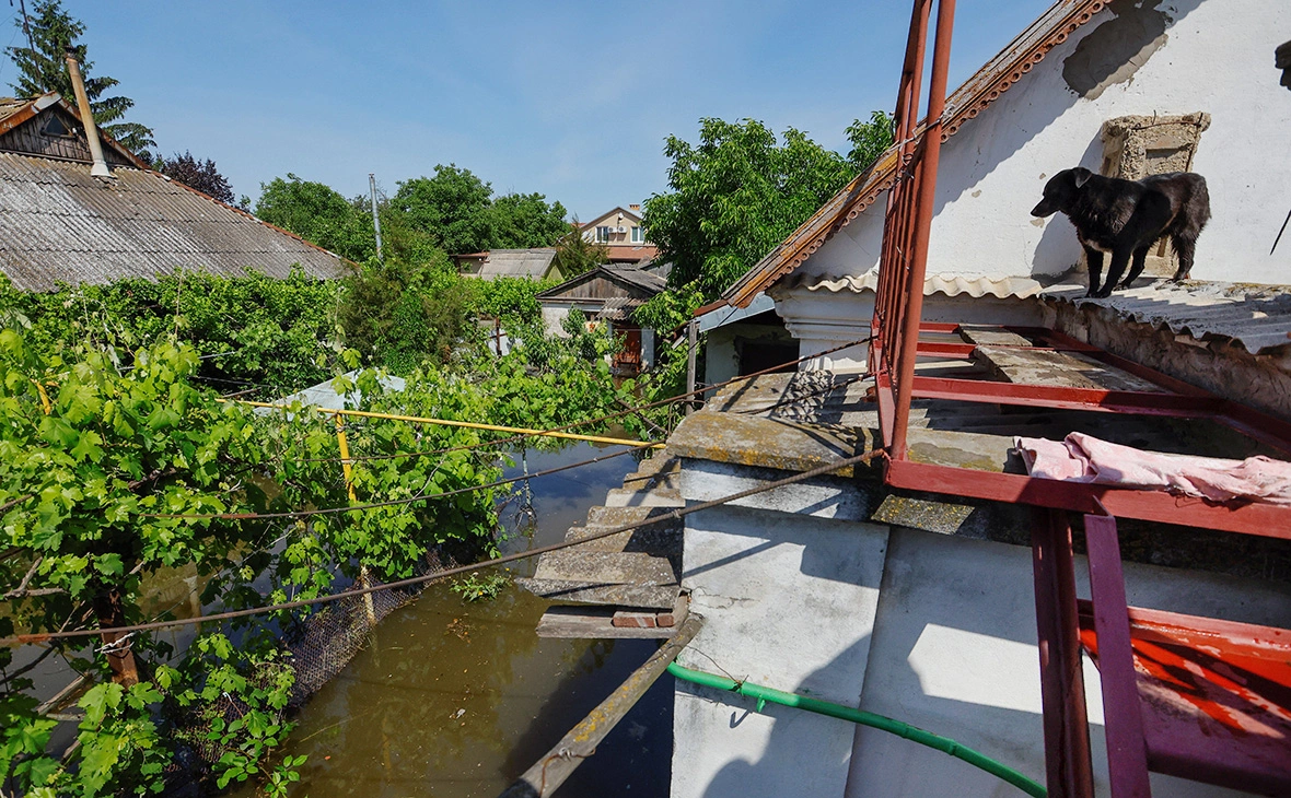 Александр Ермоченко / Reuters