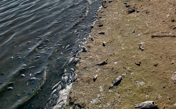 Пресс-служба Следственного комитета РФ