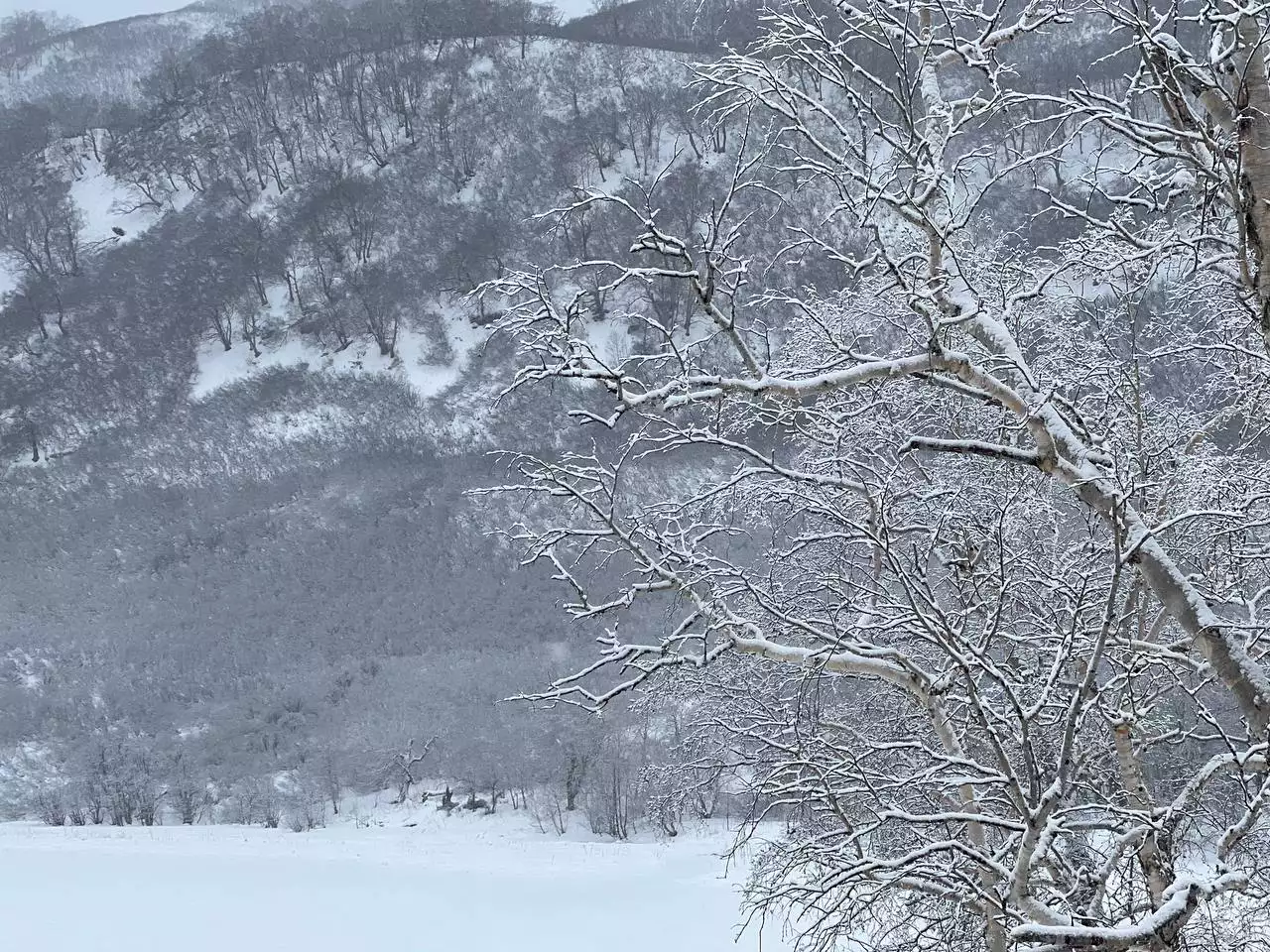 РБК Приморье