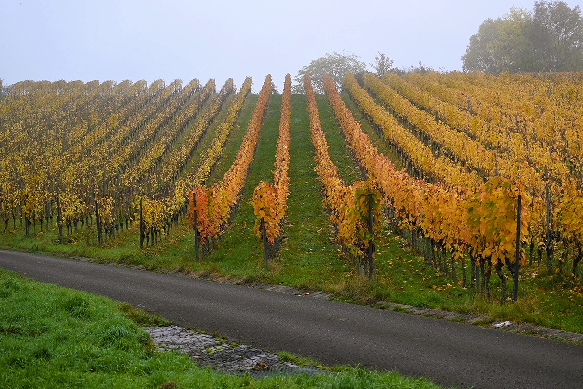 G.B. De Bergolis / Shutterstock / FOTODOM