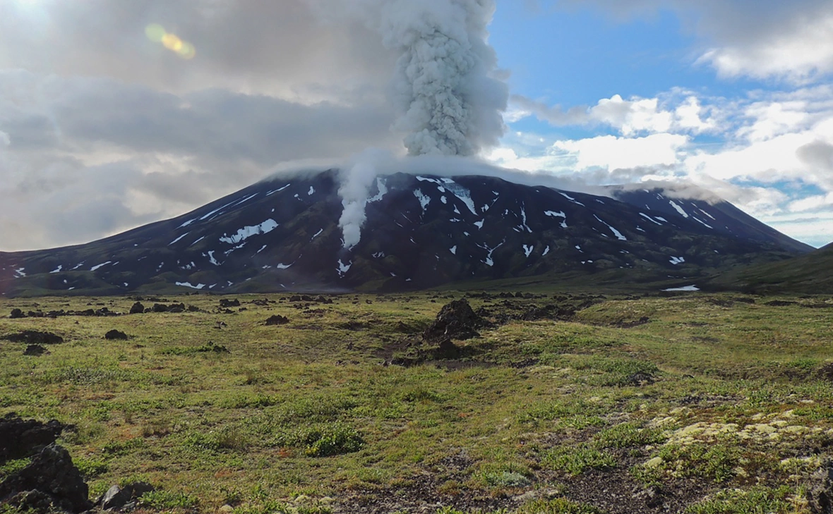Наталья Акбирова / ФГБУ «Кроноцкий государственный заповедник» / ТАСС
